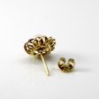 Spiral Gold Pearl Studs Fashion