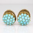 Turquoise Earrings | 3.88ctw | Discount